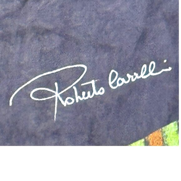 Roberto Cavalli Silk Butterfly Moth Print Luxury Scarf Wrap Elegant Designer - Picture 5 of 7